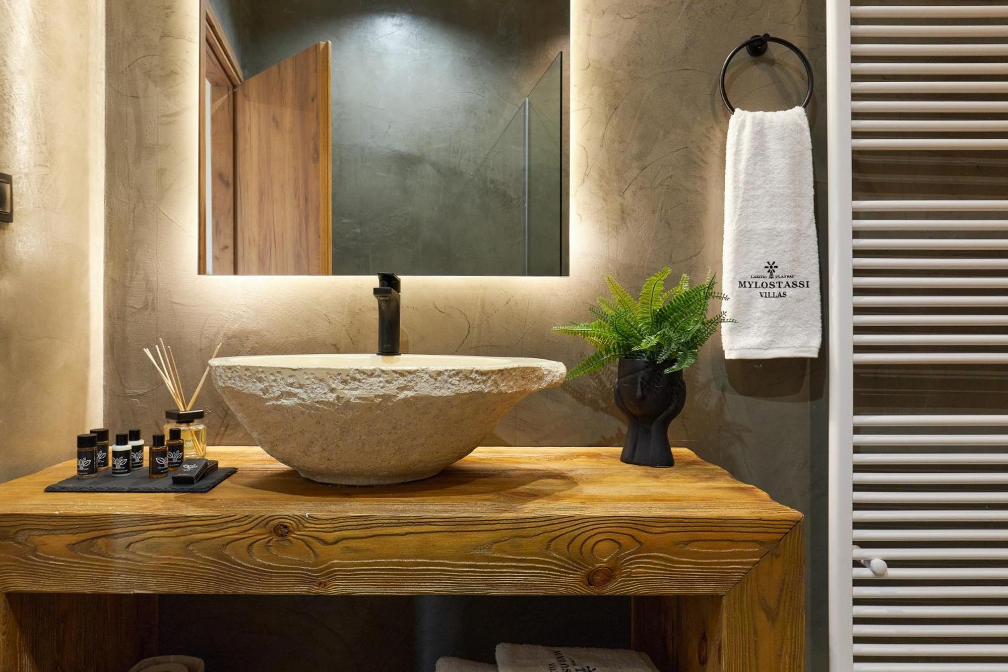 Mylostassi Villas With Balcony Plunge Pool Plati  外观 照片